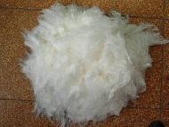 Coir Fiber