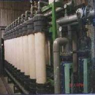 Coir Fiber