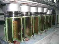 Coir Fiber