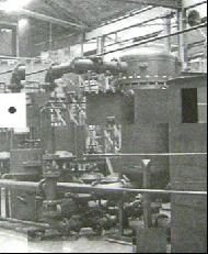 Coir Fiber
