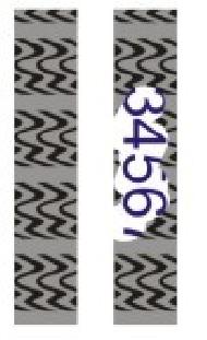 Coir Fiber