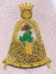Coir Fiber