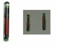 Coir Fiber