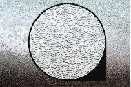 Coir Fiber