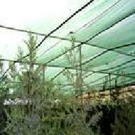 Coir Fiber