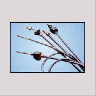 Coir Fiber