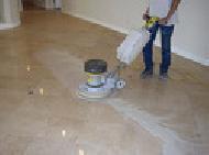 Coir Fiber