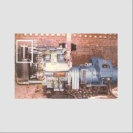 Coir Fiber