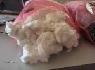 Coir Fiber