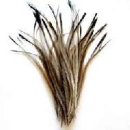 Coir Fiber