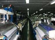 Coir Fiber