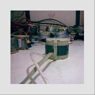 Coir Fiber