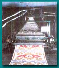 Coir Fiber