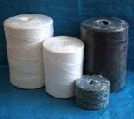 Coir Fiber