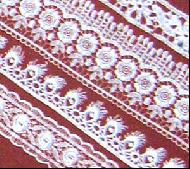 Coir Fiber
