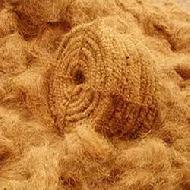 Coir Fiber