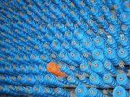 Coir Fiber