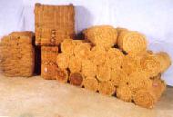 Coir Fiber