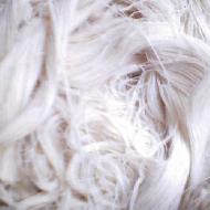Coir Fiber