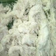 Coir Fiber