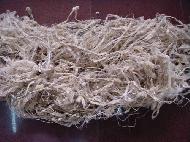 Coir Fiber