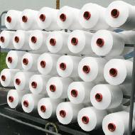 Coir Fiber