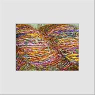 Coir Fiber