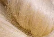 Coir Fiber
