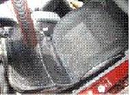Coir Fiber