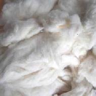 Coir Fiber