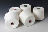 Coir Fiber