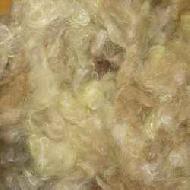 Coir Fiber