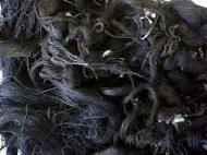Coir Fiber