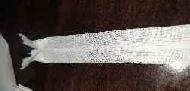 Coir Fiber