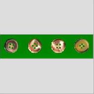 Coir Fiber