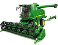 Coir Fiber