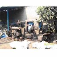 Coir Fiber