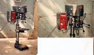 Coir Fiber