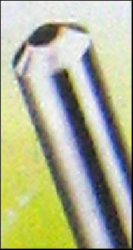 Coir Fiber