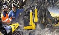 Coir Fiber