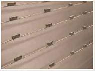 Coir Fiber