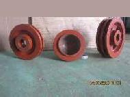 Coir Fiber