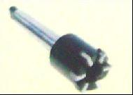 Coir Fiber