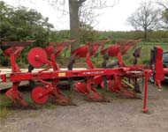 Coir Fiber