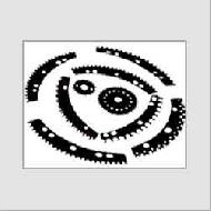 Coir Fiber