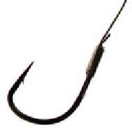 Coir Fiber