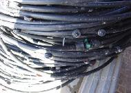 Coir Fiber