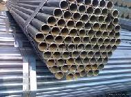 Coir Fiber
