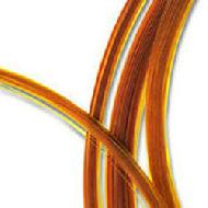 Coir Fiber