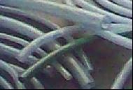 Coir Fiber